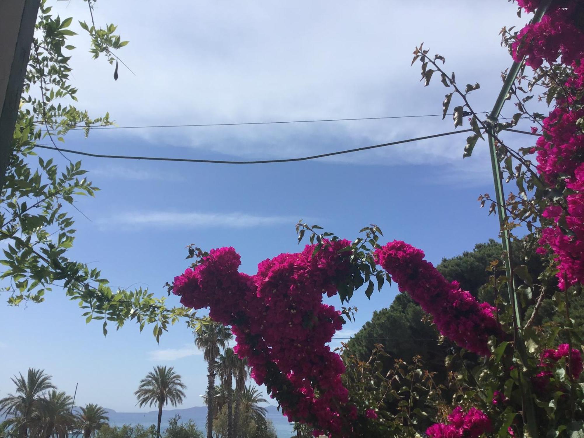L'Ilot Fleuri Otel Le Lavandou Dış mekan fotoğraf
